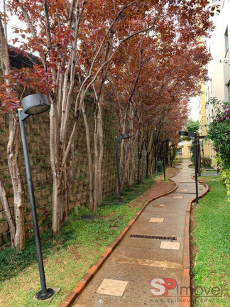 Imagem Apartamento com 2 Quartos à Venda, 49 m² em Paraisopolis - São Paulo