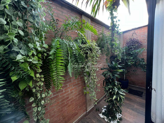 Imagem Casa com 3 Quartos à Venda, 168 m² em Condomínio Reserva Das Paineiras - Piracicaba Imagem Casa com 3 Quartos à Venda, 168 m² em Condomínio Reserva Das Paineiras - Piracicaba