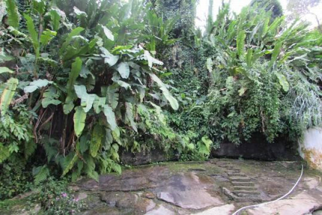 Imagem Casa com 6 Quartos à Venda, 400 m² em Jardim Botânico - Rio De Janeiro