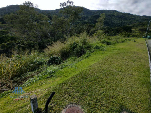 Imagem Terreno à Venda, 533 m² em Itacorubi - Florianópolis