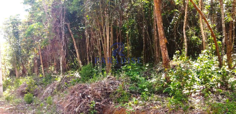 Imagem Terreno à Venda, 2.160 m² em Açu Da Torre - Mata De São João Imagem Terreno à Venda, 2.160 m² em Açu Da Torre - Mata De São João