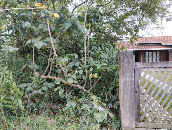 Imagem Terreno à Venda, 300 m² em Ubatuba - São Francisco Do Sul Imagem Terreno à Venda, 300 m² em Ubatuba - São Francisco Do Sul