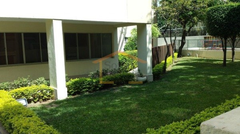 Imagem Apartamento com 2 Quartos à Venda, 72 m² em Vila Amélia - São Paulo Imagem Apartamento com 2 Quartos à Venda, 72 m² em Vila Amélia - São Paulo