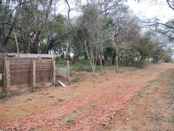 Imagem Imóvel à Venda,  em Três Cruzes - Elias Fausto