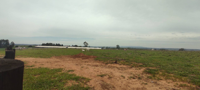 Imagem Chácara com 3 Quartos à Venda, 774 m² em Zona Rural - Alambari