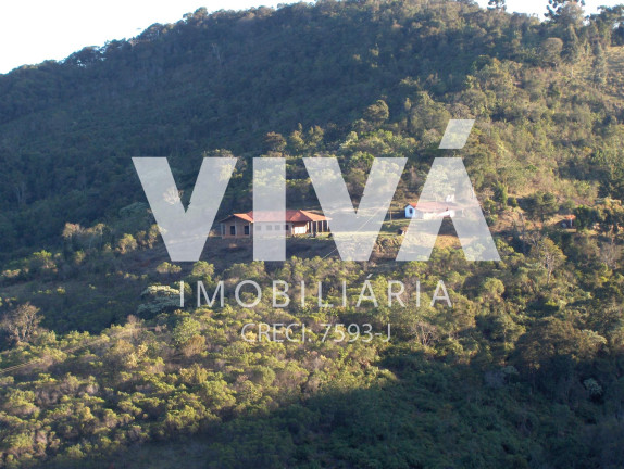 Imagem Fazenda à Venda, 600.000 m² em Itapeva - Itapeva Imagem Fazenda à Venda, 600.000 m² em Itapeva - Itapeva