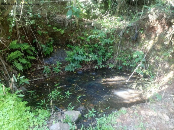 Imagem Terreno à Venda, 2 m² em Linha Temerária - Nova Petrópolis