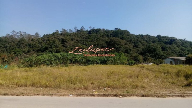 Chácara à Venda, 4.000 m² em Ipelândia - Suzano