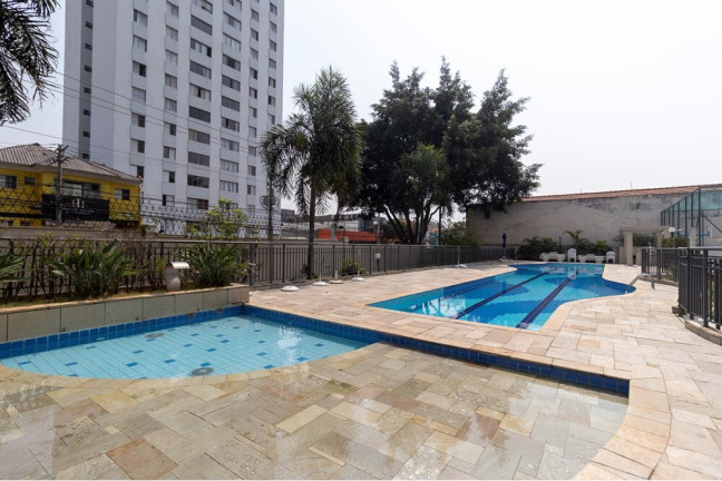 Imagem Apartamento com 2 Quartos à Venda, 60 m² em Ipiranga - São Paulo Imagem Apartamento com 2 Quartos à Venda, 60 m² em Ipiranga - São Paulo