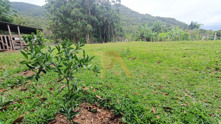 Imagem Fazenda à Venda, 10.000 m² em Penha - Imbituba Imagem Fazenda à Venda, 10.000 m² em Penha - Imbituba