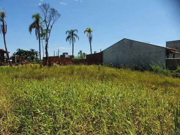 Imagem Terreno à Venda, 375 m² em Costeira - Balneário Barra Do Sul Imagem Terreno à Venda, 375 m² em Costeira - Balneário Barra Do Sul