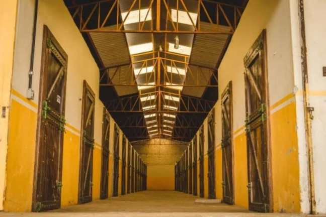 Imagem Fazenda à Venda, 3.000 m² em Centro - Tijucas Do Sul