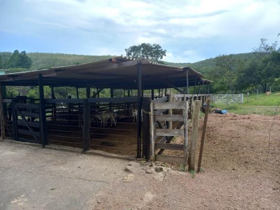 Imagem Imóvel com 5 Quartos à Venda, 10 m² em área Rural De Luziânia - Luziânia Imagem Imóvel com 5 Quartos à Venda, 10 m² em área Rural De Luziânia - Luziânia