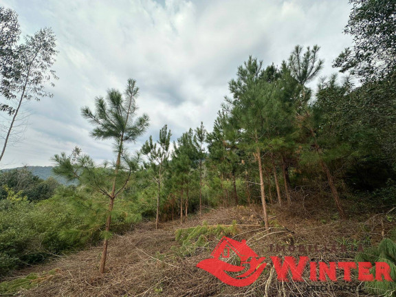 Imagem Chácara à Venda, 40.000 m² em Forqueta - Vale Real Imagem Chácara à Venda, 40.000 m² em Forqueta - Vale Real