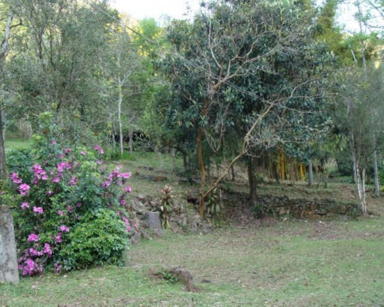 Imagem Imóvel à Venda,  em Linha Pirajá Baixa - Nova Petrópolis