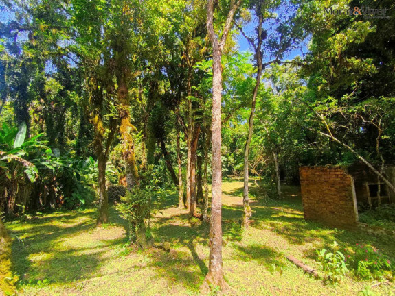 Imagem Chácara à Venda, 6.000 m² em Loteamento Chácara Chantecler - Piraquara Imagem Chácara à Venda, 6.000 m² em Loteamento Chácara Chantecler - Piraquara