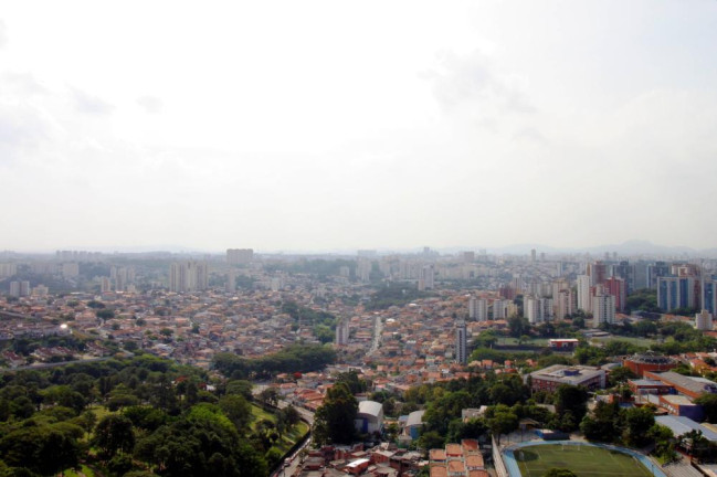 Imagem Apartamento com 1 Quarto à Venda, 43 m² em Fazenda Morumbi - São Paulo Imagem Apartamento com 1 Quarto à Venda, 43 m² em Fazenda Morumbi - São Paulo