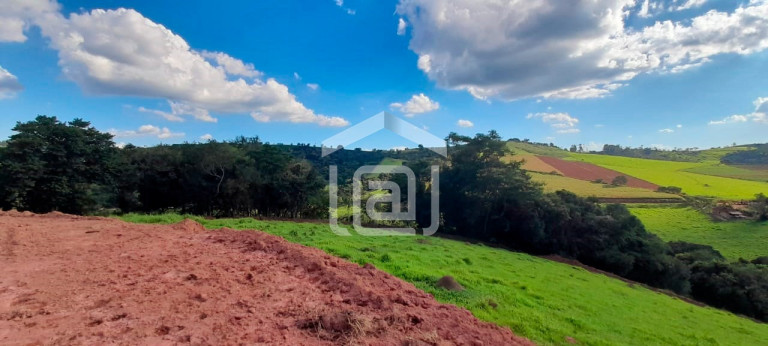 Imagem Imóvel com 1 Quarto à Venda, 44.000 m² em Roseira - Bandeira Do Sul