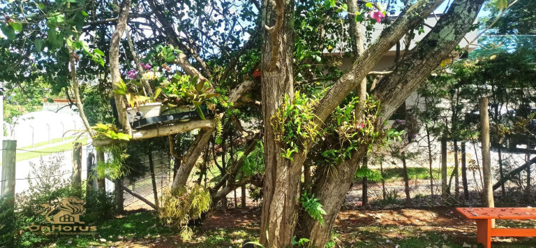 Imagem Chácara com 4 Quartos à Venda, 2.900 m² em Parque Da Fazenda - Itatiba Imagem Chácara com 4 Quartos à Venda, 2.900 m² em Parque Da Fazenda - Itatiba