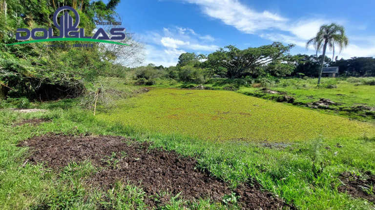 Imagem Chácara à Venda, em Viamão Imagem Chácara à Venda, em Viamão