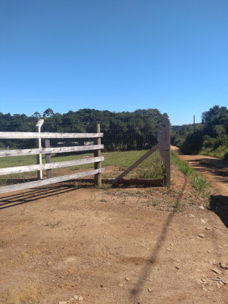 Imagem Imóvel com 2 Quartos à Venda, 28.600 m² em Passo Da Areia - Viamão
