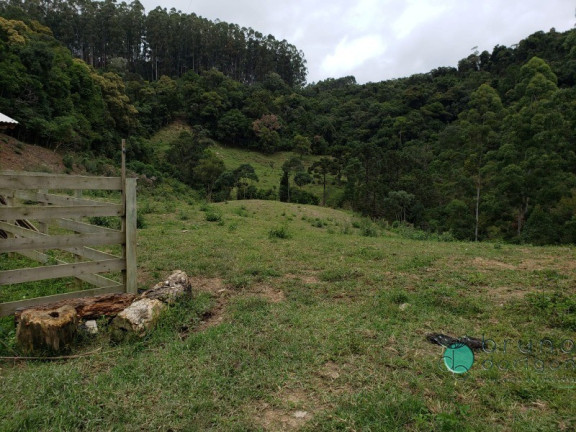 Imagem Imóvel com 3 Quartos à Venda, 250.000 m² em Zona Rural - Bom Retiro