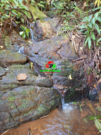 Imagem Chácara à Venda, 8 m² em São Francisco Xavier - São José Dos Campos Imagem Chácara à Venda, 8 m² em São Francisco Xavier - São José Dos Campos