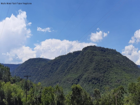 Terreno à Venda, 1 m² em Riachuelo - Nova Petrópolis