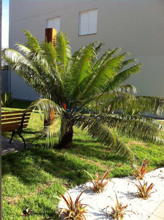Imagem Apartamento com 2 Quartos à Venda, 50 m² em Residencial Eldorado - Pirassununga Imagem Apartamento com 2 Quartos à Venda, 50 m² em Residencial Eldorado - Pirassununga