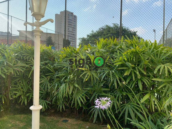 Imagem Apartamento com 4 Quartos à Venda ou Locação, 397 m² em Granja Julieta - São Paulo Imagem Apartamento com 4 Quartos à Venda ou Locação, 397 m² em Granja Julieta - São Paulo