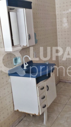Imagem Apartamento com 3 Quartos para Alugar, 70 m² em Vila Maria - São Paulo Imagem Apartamento com 3 Quartos para Alugar, 70 m² em Vila Maria - São Paulo