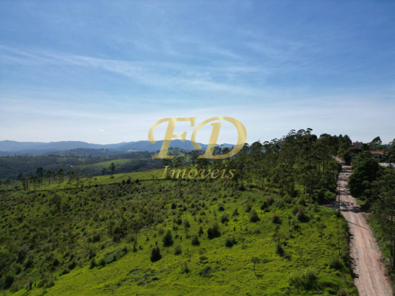 Imagem Imóvel Comercial à Venda, 380.000 m² em Terra Preta - Mairiporã