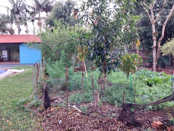 Imagem Chácara com 3 Quartos à Venda, 1.500 m² em Vilagio Das Palmeiras - Sabáudia Imagem Chácara com 3 Quartos à Venda, 1.500 m² em Vilagio Das Palmeiras - Sabáudia