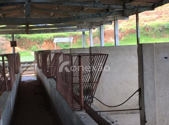 Imagem Fazenda à Venda, 400 m² em Jardim Prado - Santa Branca