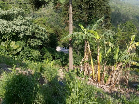 Imagem Terreno à Venda, 551 m² em Centro - Nova Petrópolis Imagem Terreno à Venda, 551 m² em Centro - Nova Petrópolis