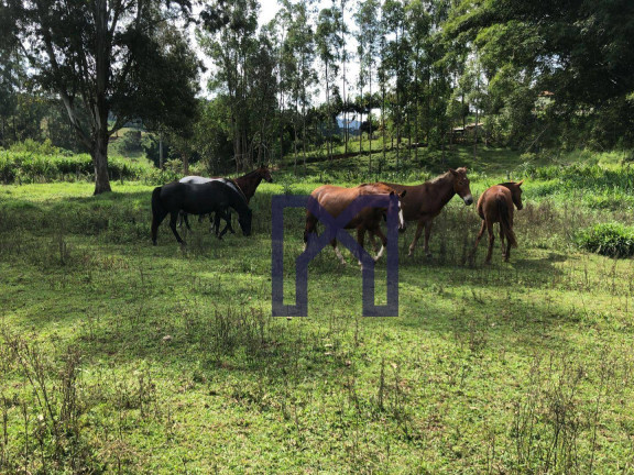 Imagem Fazenda à Venda, 359.300 m² em Zona Rural - Pedralva Imagem Fazenda à Venda, 359.300 m² em Zona Rural - Pedralva