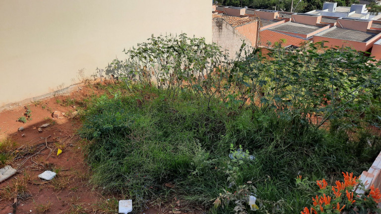 Imagem Terreno à Venda, 360 m² em São Pedro - Esmeraldas Imagem Terreno à Venda, 360 m² em São Pedro - Esmeraldas