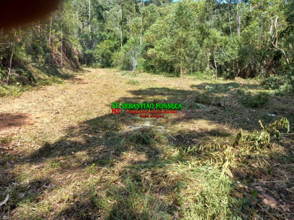 Imagem Chácara à Venda, 30.000 m² em Centro - Monteiro Lobato Imagem Chácara à Venda, 30.000 m² em Centro - Monteiro Lobato