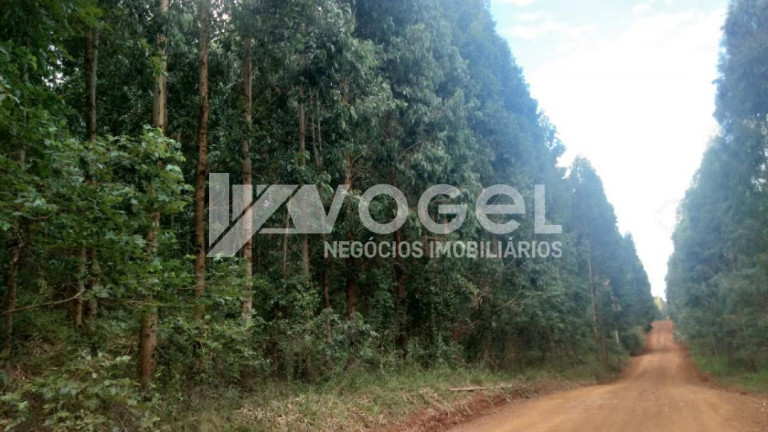 Imagem Imóvel à Venda, 129 m² em Bairro Não Informado - Julio De Castilhos Imagem Imóvel à Venda, 129 m² em Bairro Não Informado - Julio De Castilhos