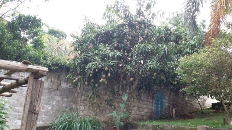 Imagem Casa de Condomínio com 4 Quartos à Venda, 5 m² em Recanto Dos Palmares - Atibaia Imagem Casa de Condomínio com 4 Quartos à Venda, 5 m² em Recanto Dos Palmares - Atibaia
