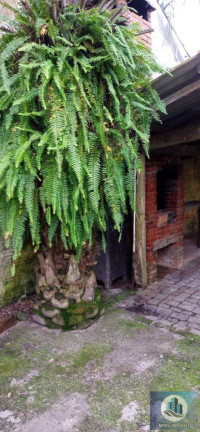 Casa com 2 Quartos à Venda, 72 m² em Laranjal - Pelotas