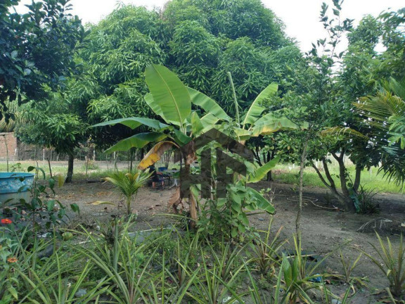 Imagem Terreno à Venda, 540 m² em Alto Do Céu - Igarassu Imagem Terreno à Venda, 540 m² em Alto Do Céu - Igarassu