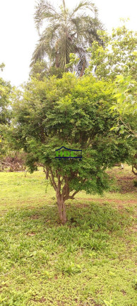 Imagem Chácara com 3 Quartos à Venda, 5 m² em Zona Rural - Hidrolândia