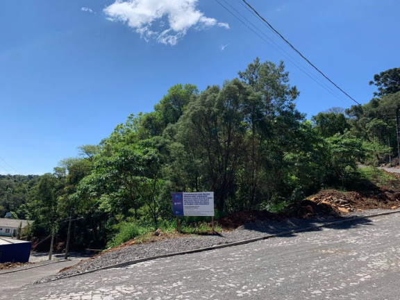 Imagem Terreno à Venda, 1 m² em Dois Pinheiros - Videira Imagem Terreno à Venda, 1 m² em Dois Pinheiros - Videira