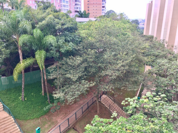 Imagem Apartamento com 3 Quartos à Venda, 142 m² em Paraíso Do Morumbi - São Paulo Imagem Apartamento com 3 Quartos à Venda, 142 m² em Paraíso Do Morumbi - São Paulo