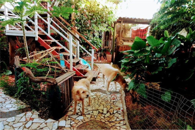 Imagem Casa com 3 Quartos à Venda,  em Bombinhas - Bombinhas