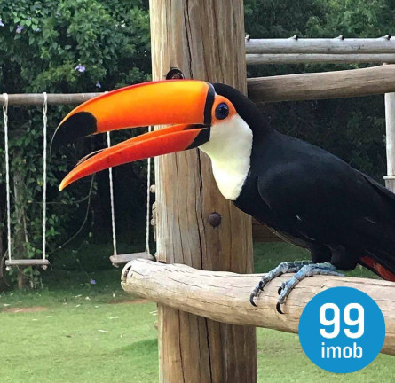 Imagem Casa com 4 Quartos à Venda, 840 m² em Ninho Verde Ii - Pardinho