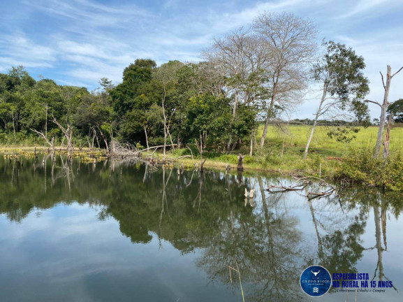 Imagem Chácara à Venda, 20 m² em Zona Rural - Rio Verde Imagem Chácara à Venda, 20 m² em Zona Rural - Rio Verde