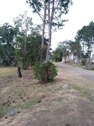 Imagem Terreno à Venda, 474 m² em Ratones - Florianópolis Imagem Terreno à Venda, 474 m² em Ratones - Florianópolis