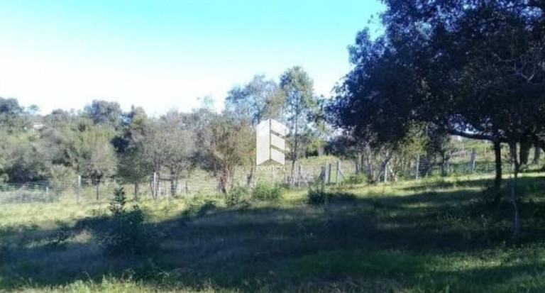Imagem Terreno à Venda, 2.000 m² em Etelvina - Itaara Imagem Terreno à Venda, 2.000 m² em Etelvina - Itaara